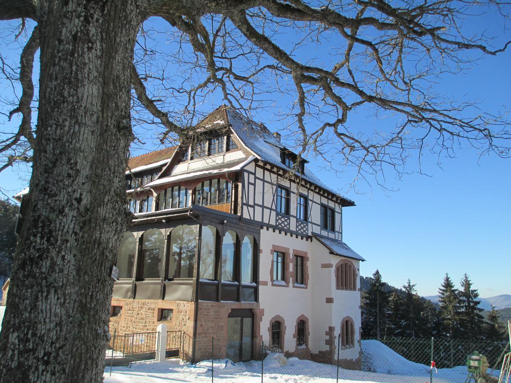 Logis Du Haut-Koenigsbourg Thannenkirch Eksteriør billede